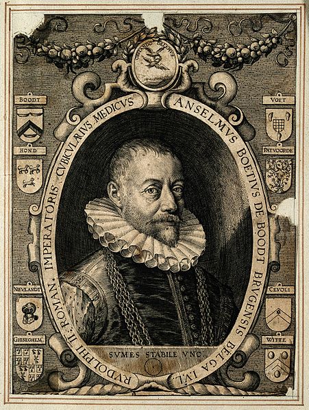 Anselmus de Boodt physician